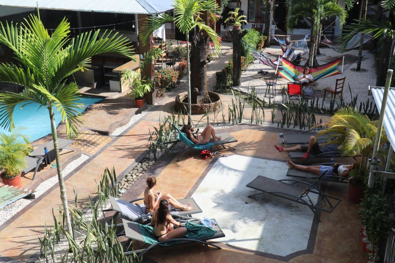 Arenal Poshpacker Pansiyon La Fortuna Dış mekan fotoğraf